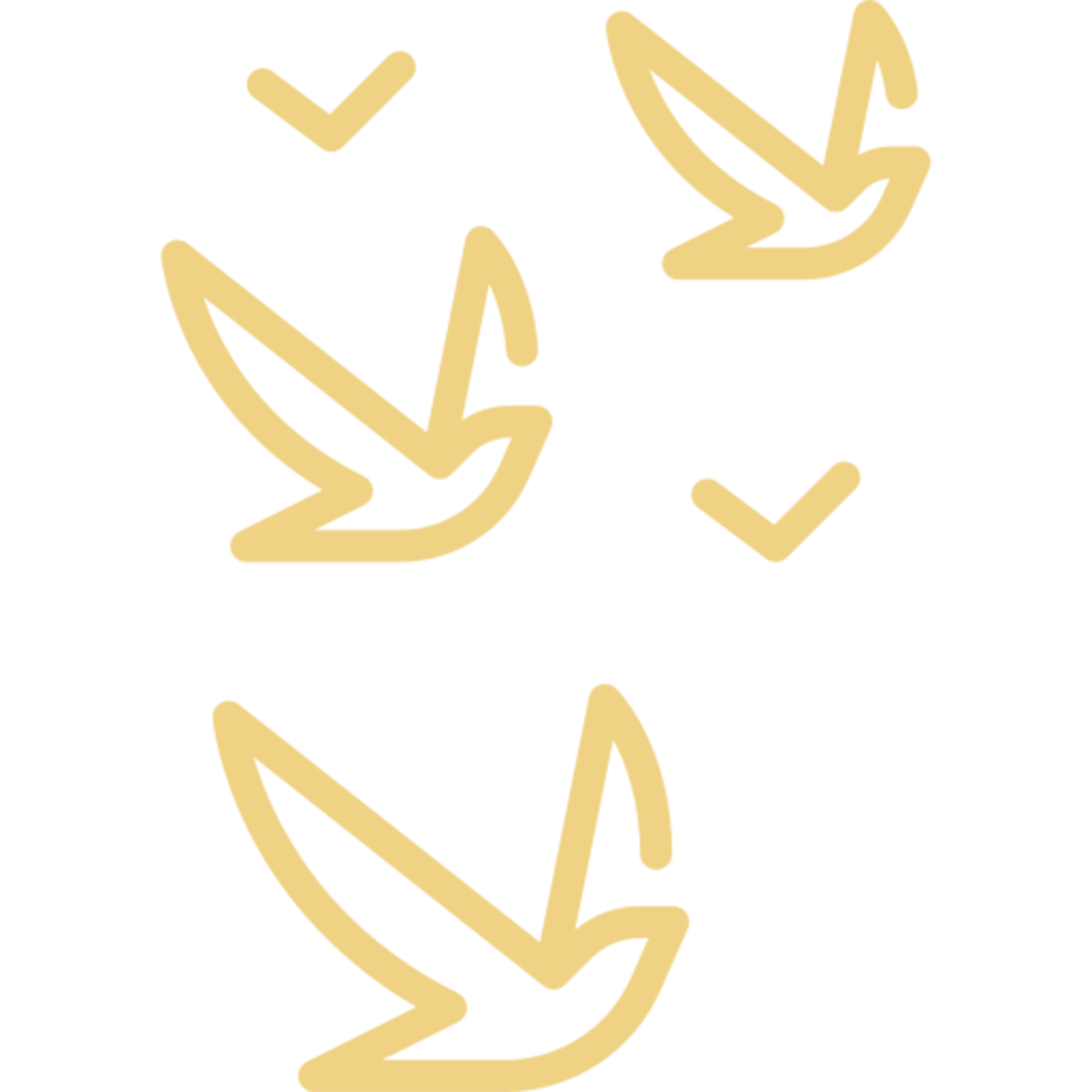 Jungle resort Madhai