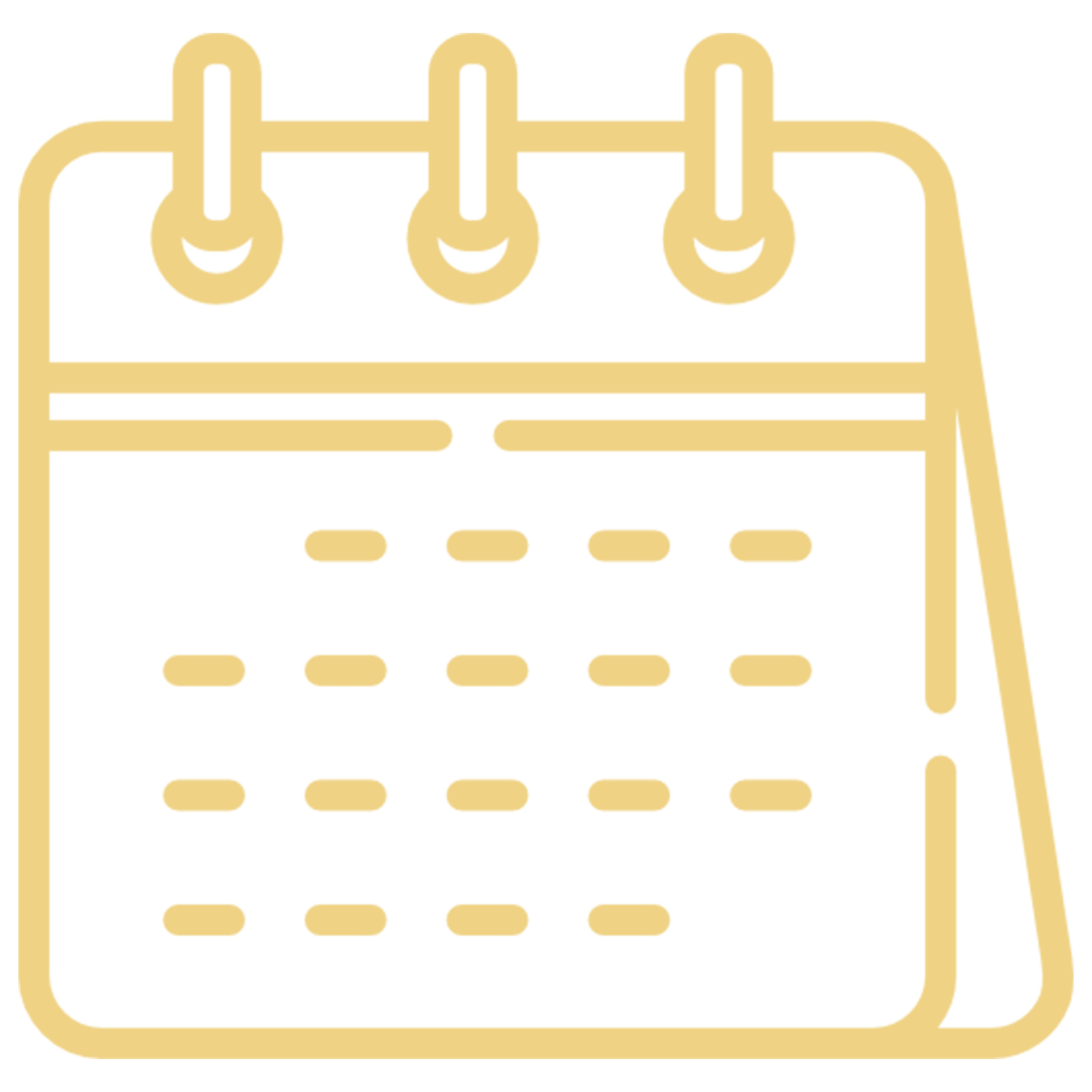 Jungle resort Madhai