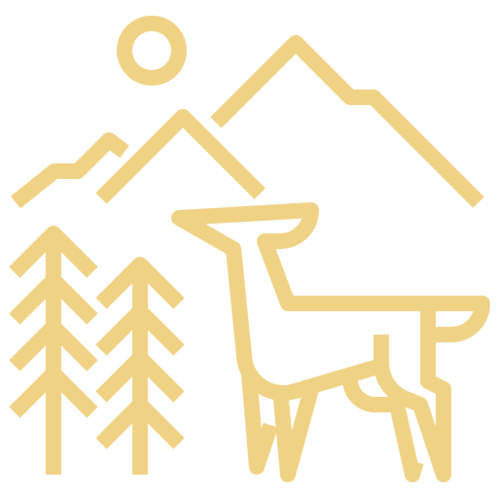 Jungle resort Madhai