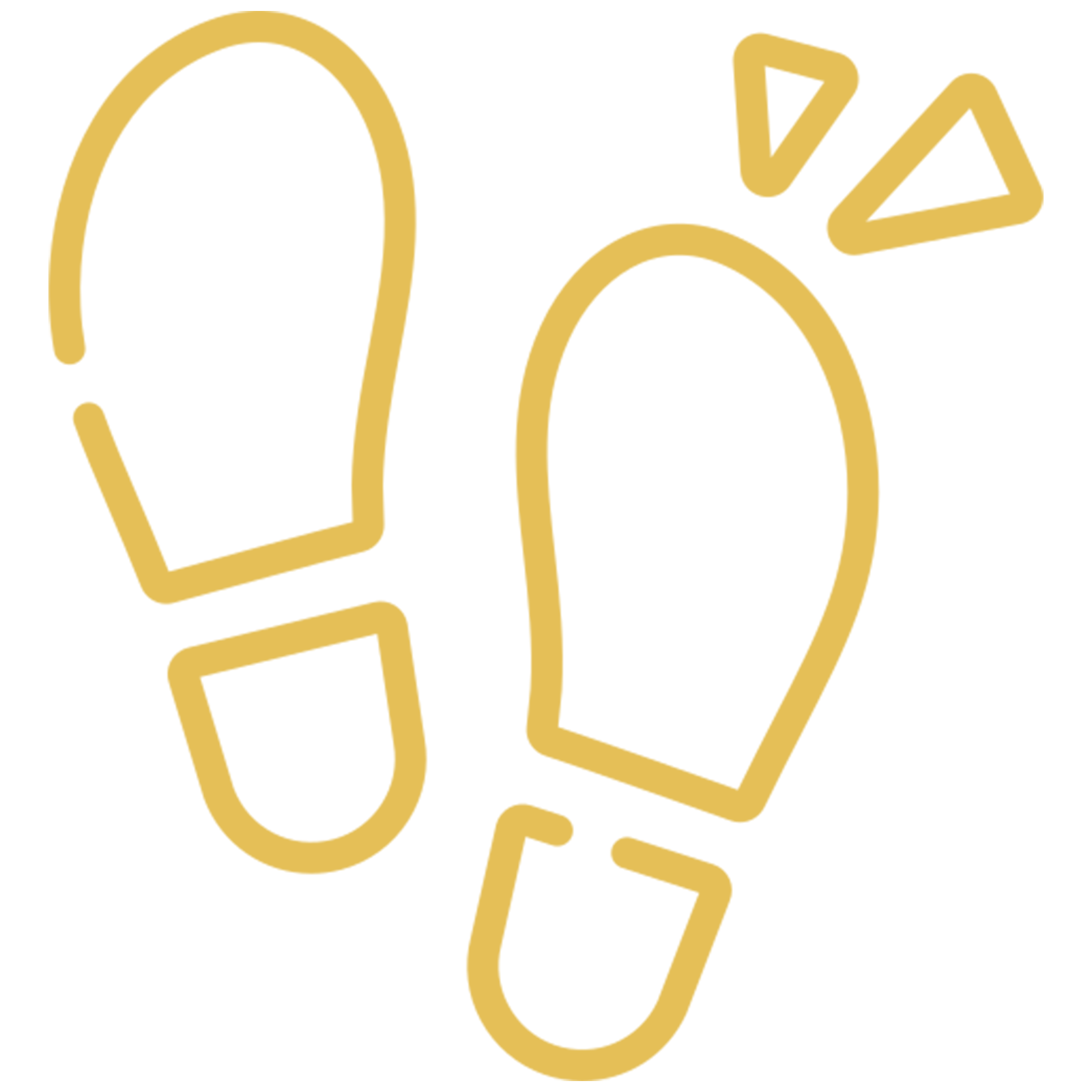 Jungle resort Madhai