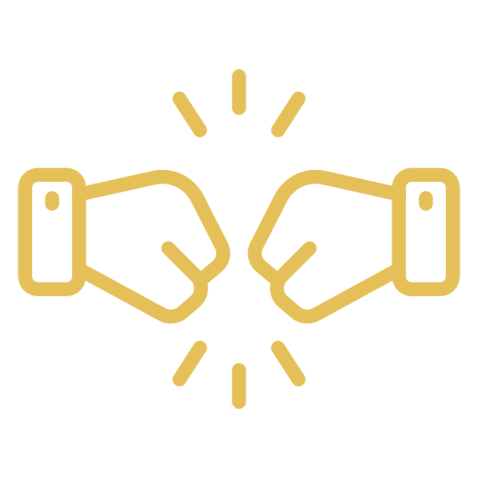 Jungle resort Madhai