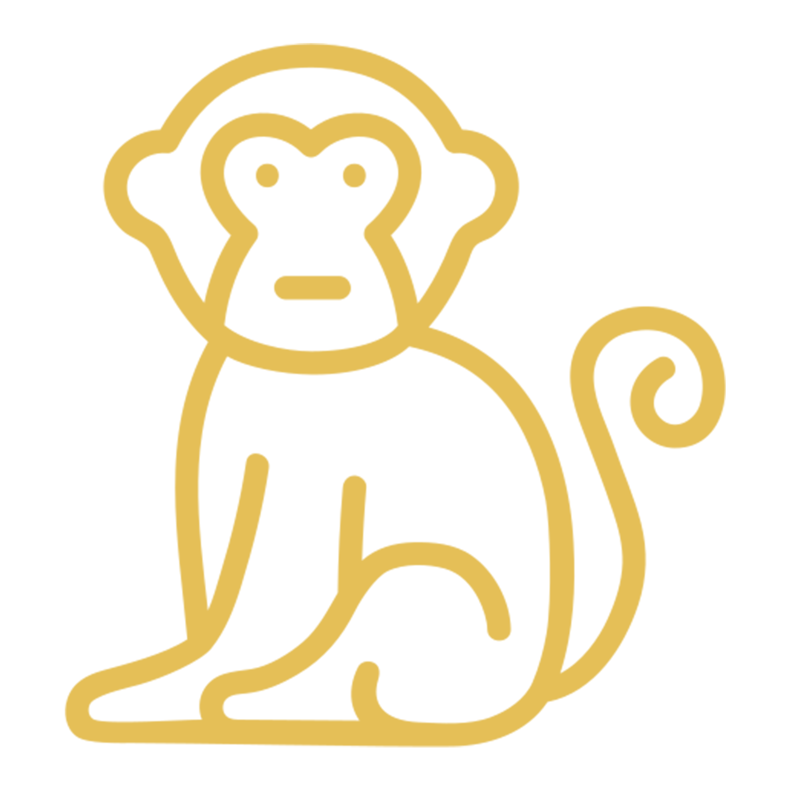 Jungle resort Madhai