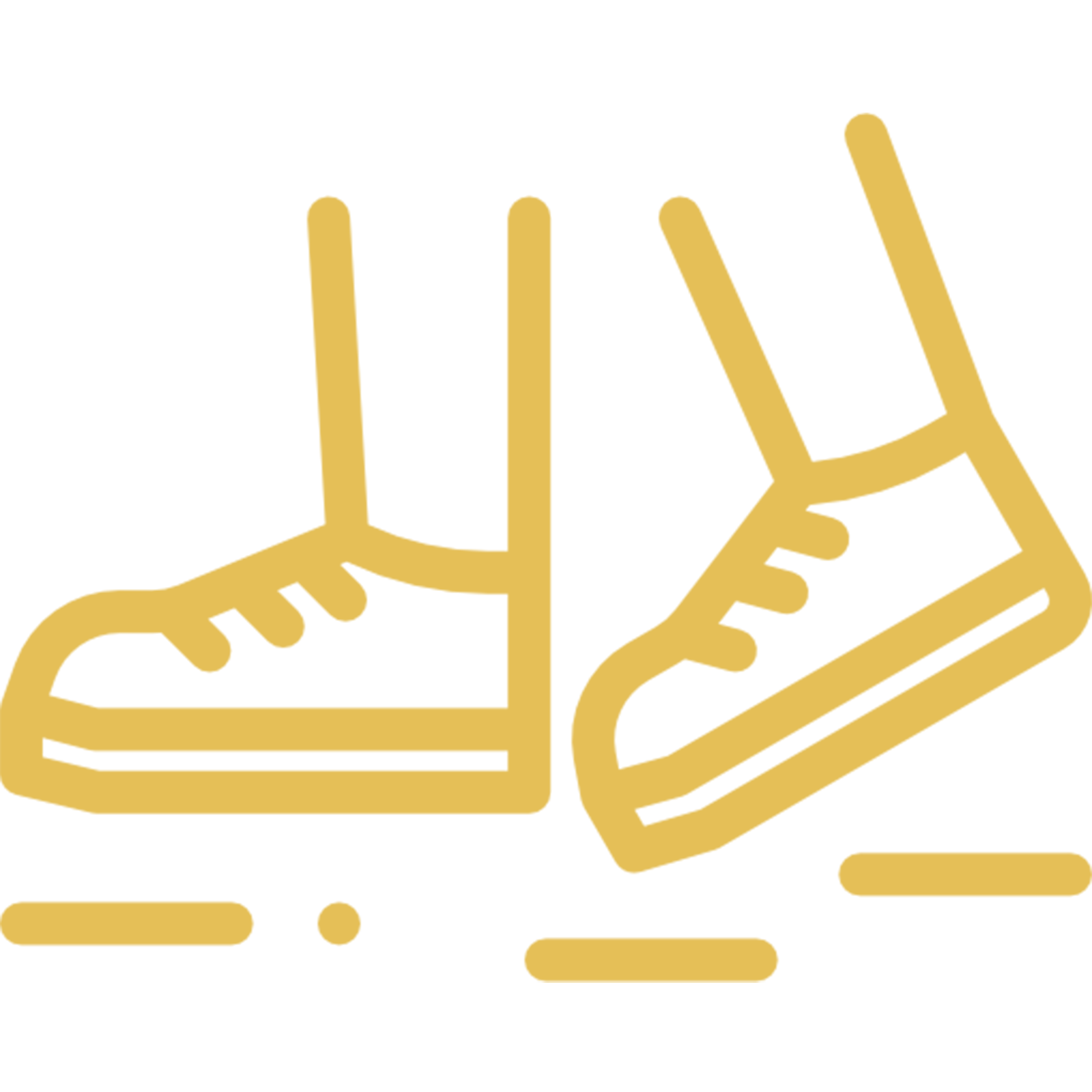 Jungle resort Madhai