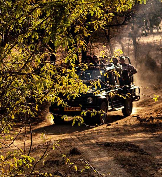 Satpura National Park Safari | Madhai Riverside Lodge