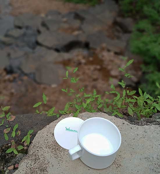 Riverside Nature Walks in Madhai | Madhai Riverside Lodge