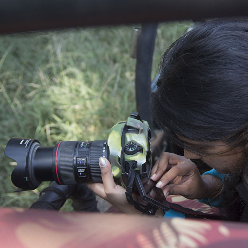  Wildlife Photography in Satpura National Park - Madhai Riverside Lodge
