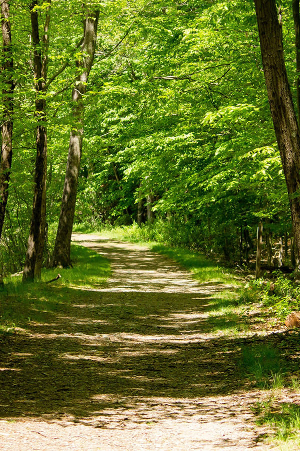 Luxury Lodges in Satpura - Madhai Riverside Lodge