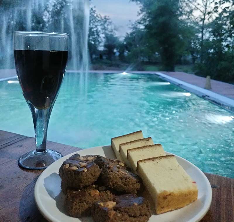 Pool Resort in Satpura National Park | Madhai Riverside Lodge